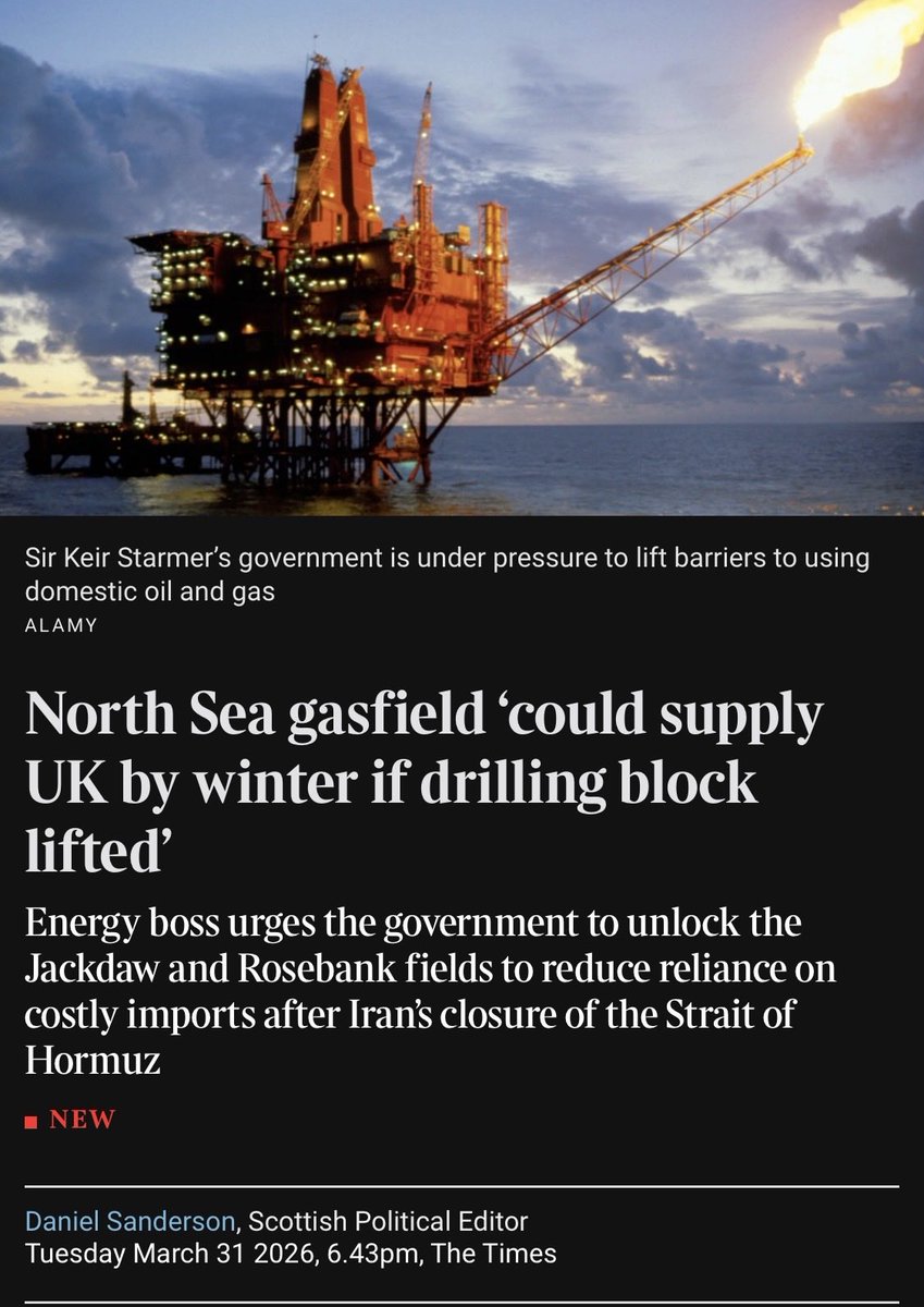 Harriet Cross MP tweet media