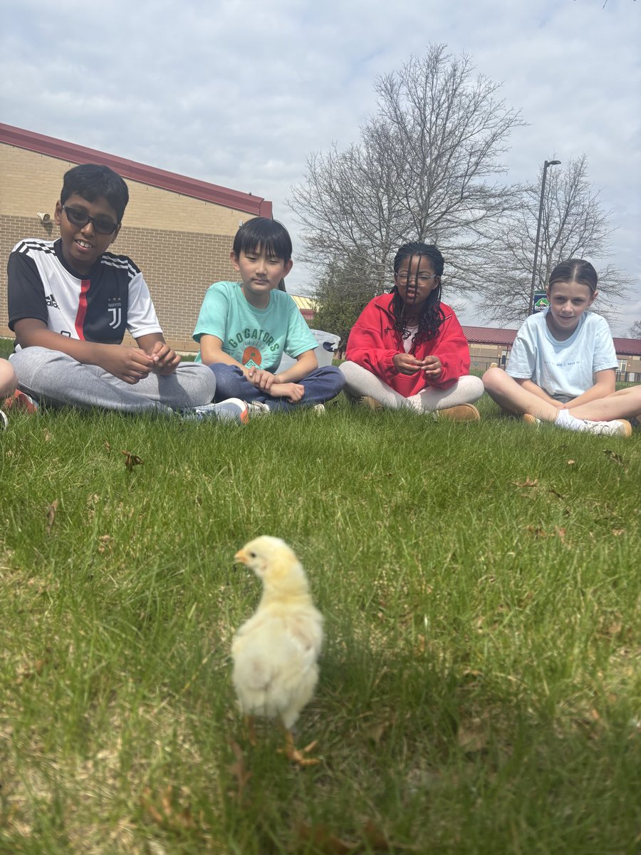 First field trip to the great outdoors for the chicks today. We held a special community circle in the grass so they could explore &amp; feel new surroundings! So many giggles &amp; smiles 😁 <a href="/Geistgators/">Geist Elementary</a> <a href="/HSESchools/">Hamilton Southeastern Schools</a> #ALLin