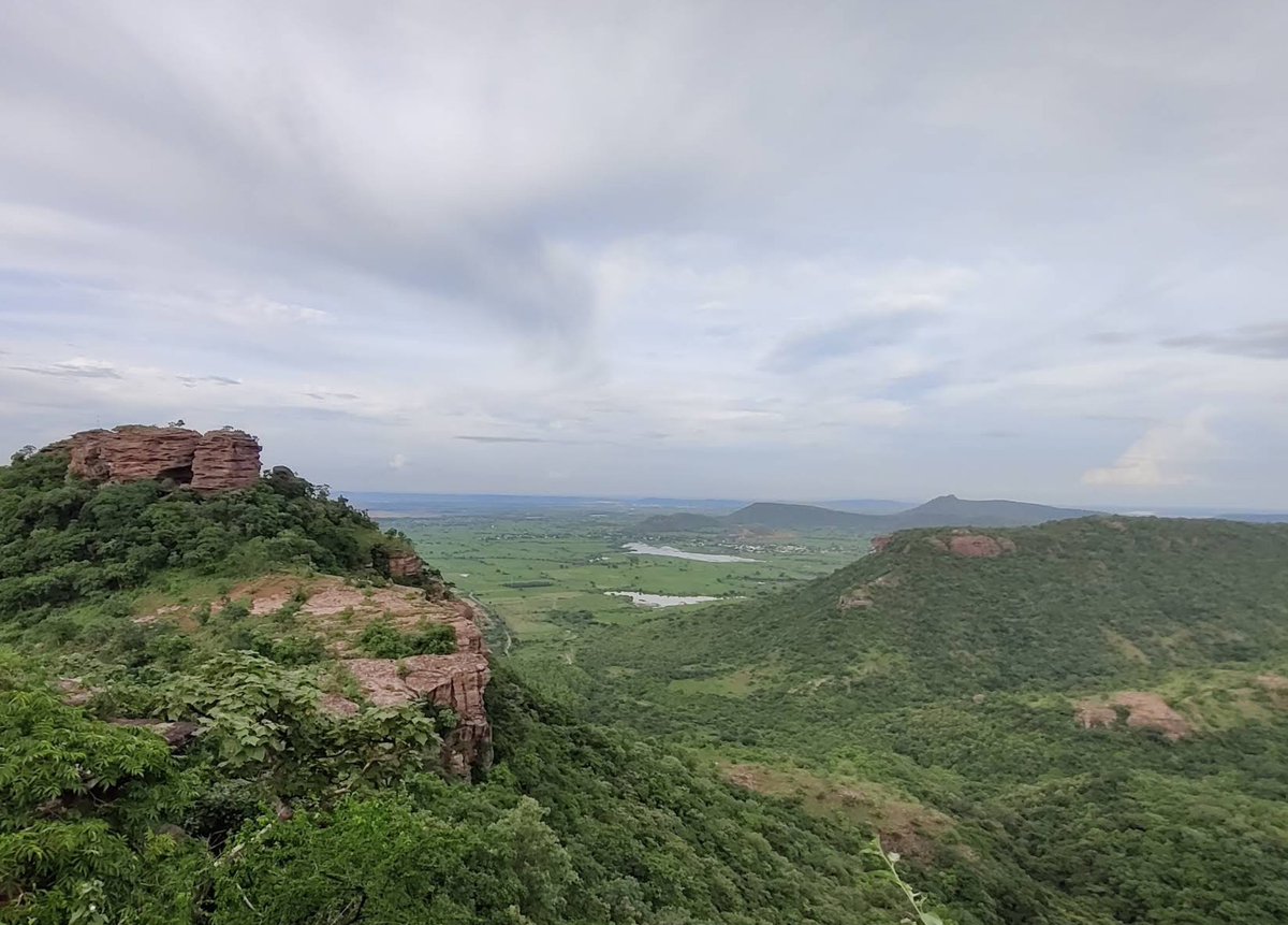 Miguel Mazdarani tweet media