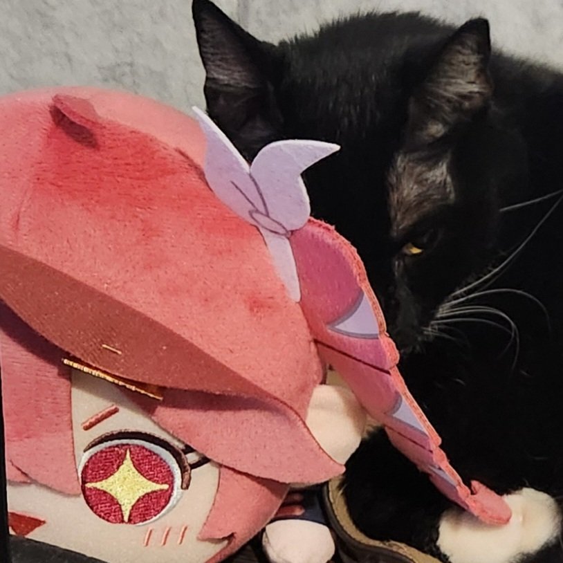 Gun D. Drake 🌵💀 tweet media