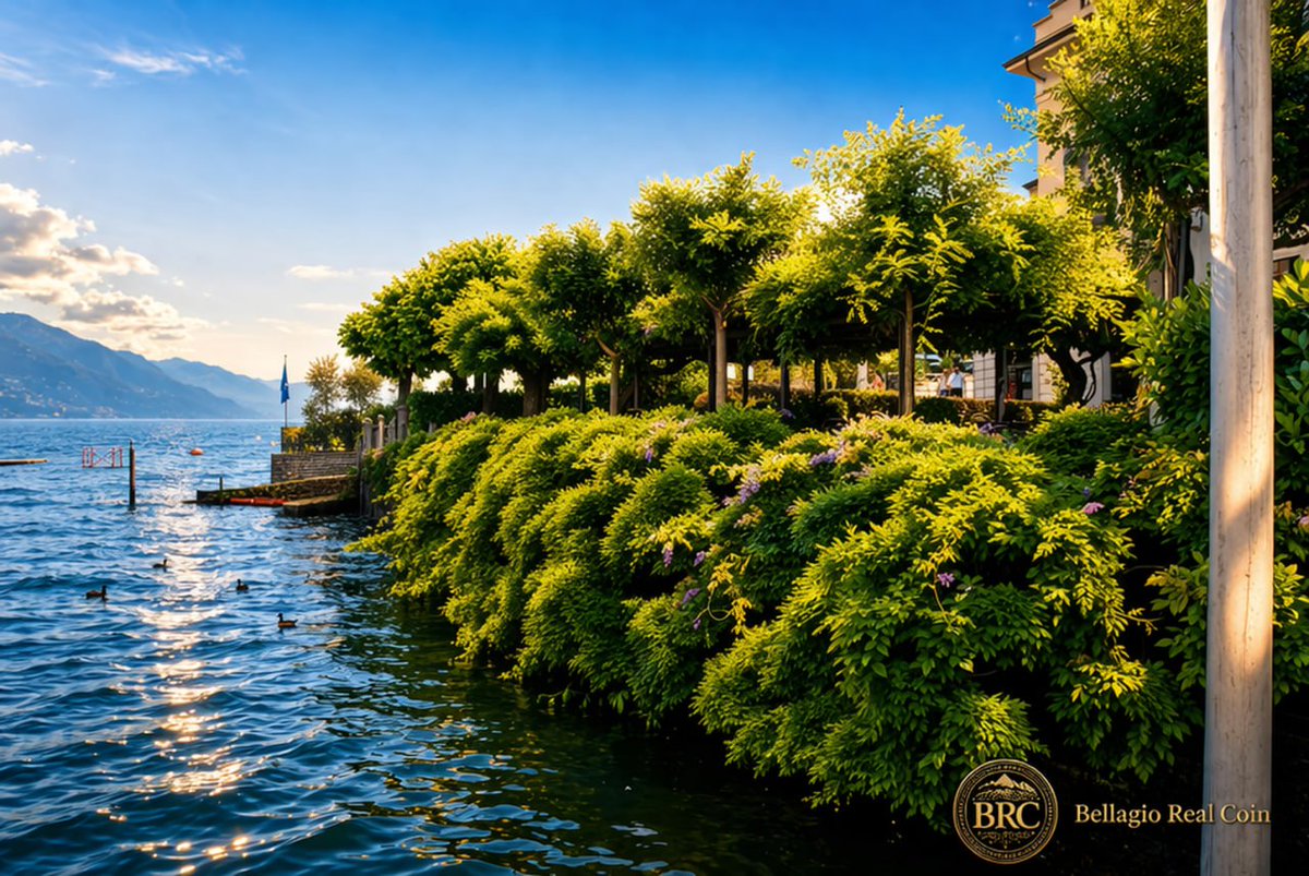 Lake Real Coin tweet media