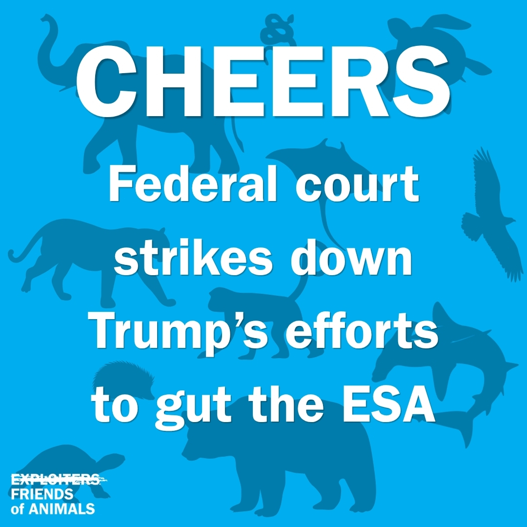 Friends of Animals tweet media