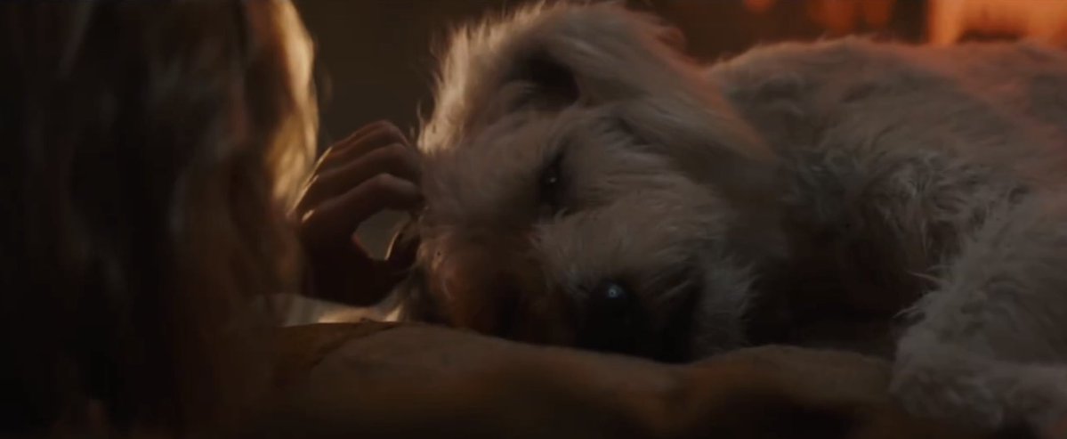 Gee-Wizz! tweet media