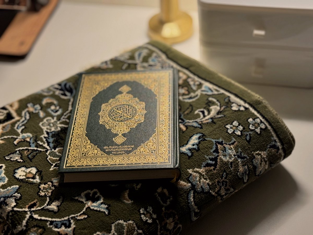 •nur 𐙚🦢 tweet media