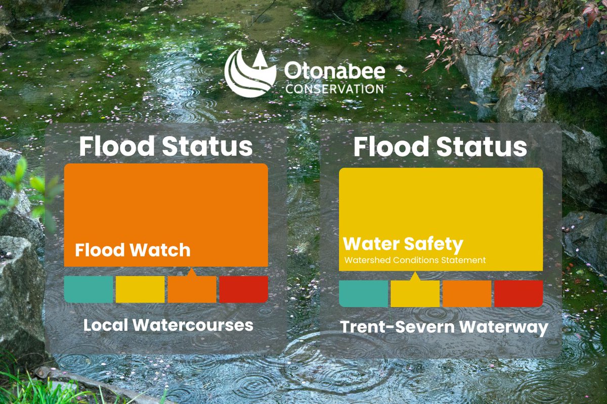 Otonabee Conservation tweet media