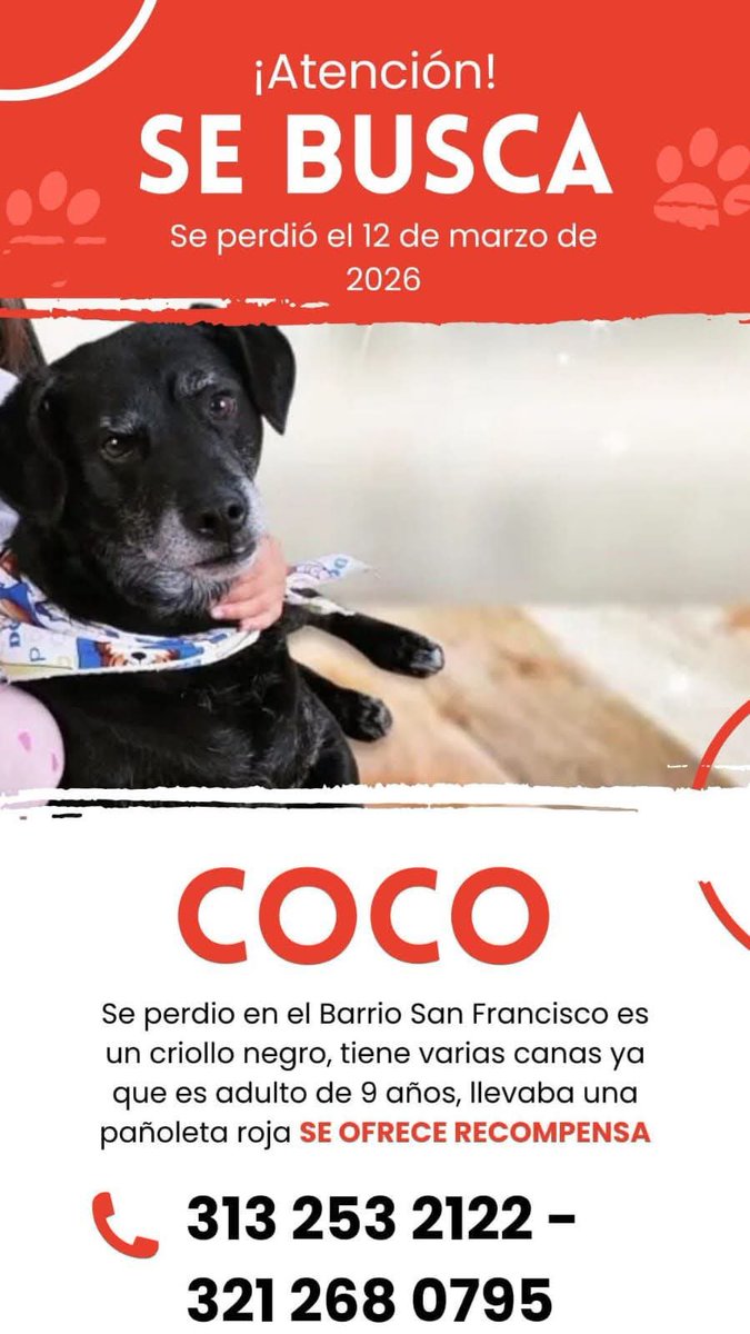 Andrea Padilla Villarraga 🪽🐾 tweet media