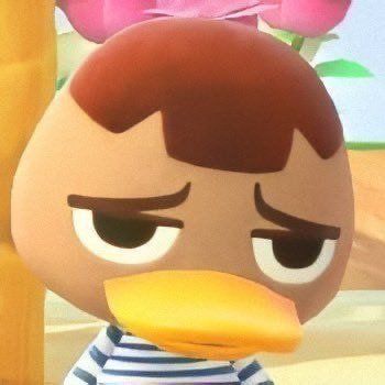 김선우 얼굴 tweet media