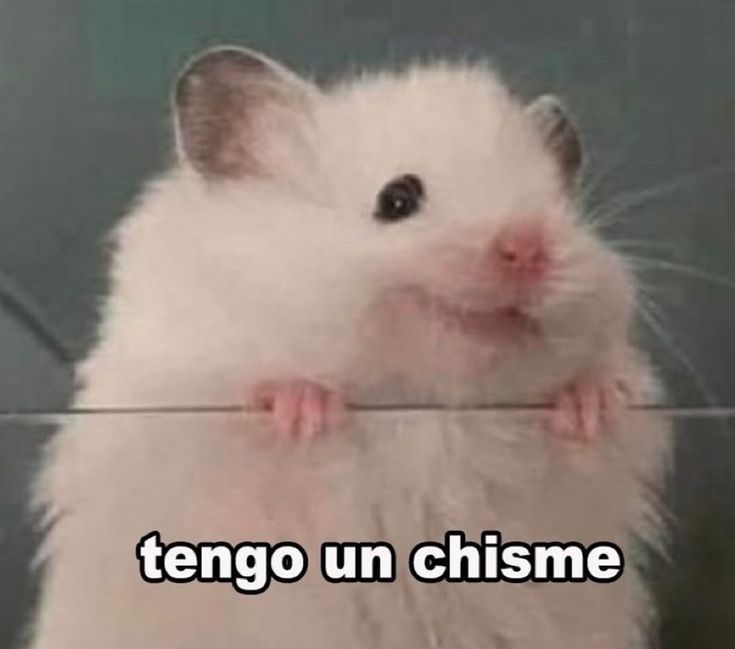 Pkittass tweet media