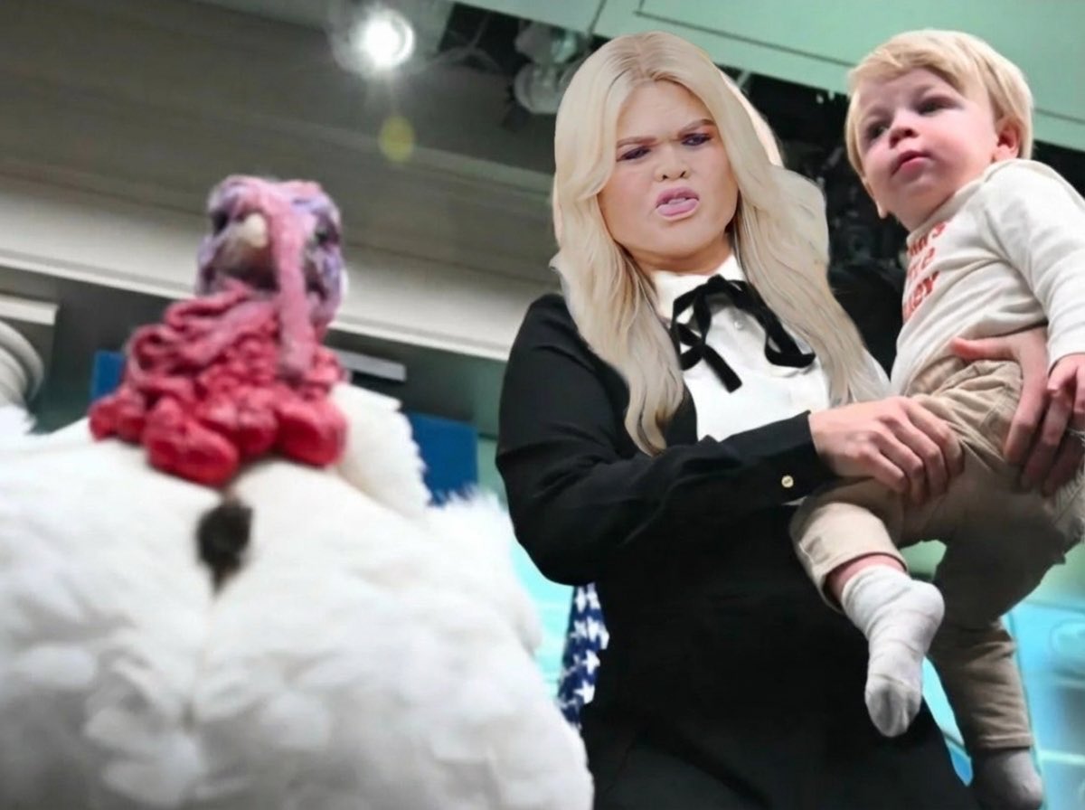 MAGA Hunter 🎯 tweet media