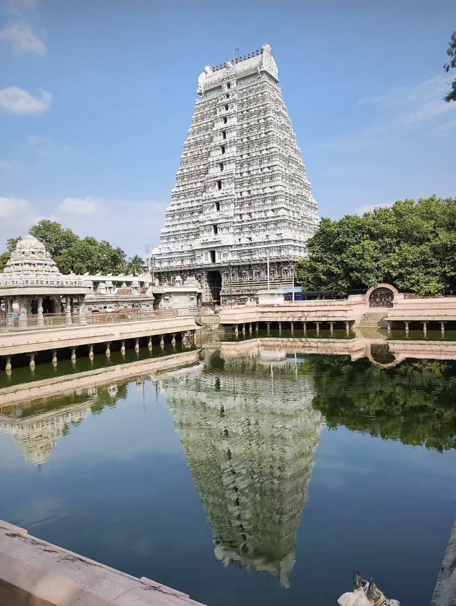 రాG🌸 OG gadi pilla😎❣️ tweet media