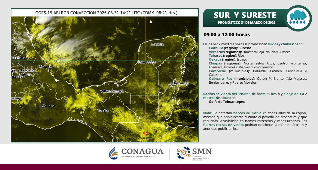 Protección Civil Cancún tweet media