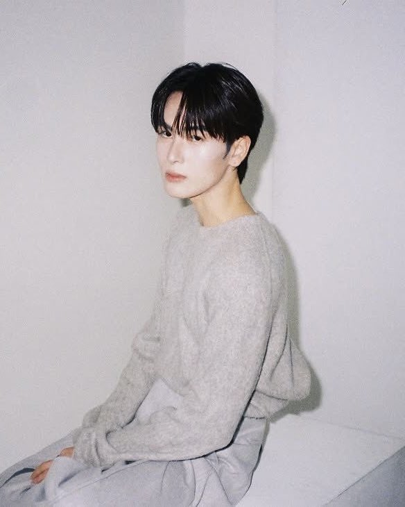 โดมดิงดอง tweet media