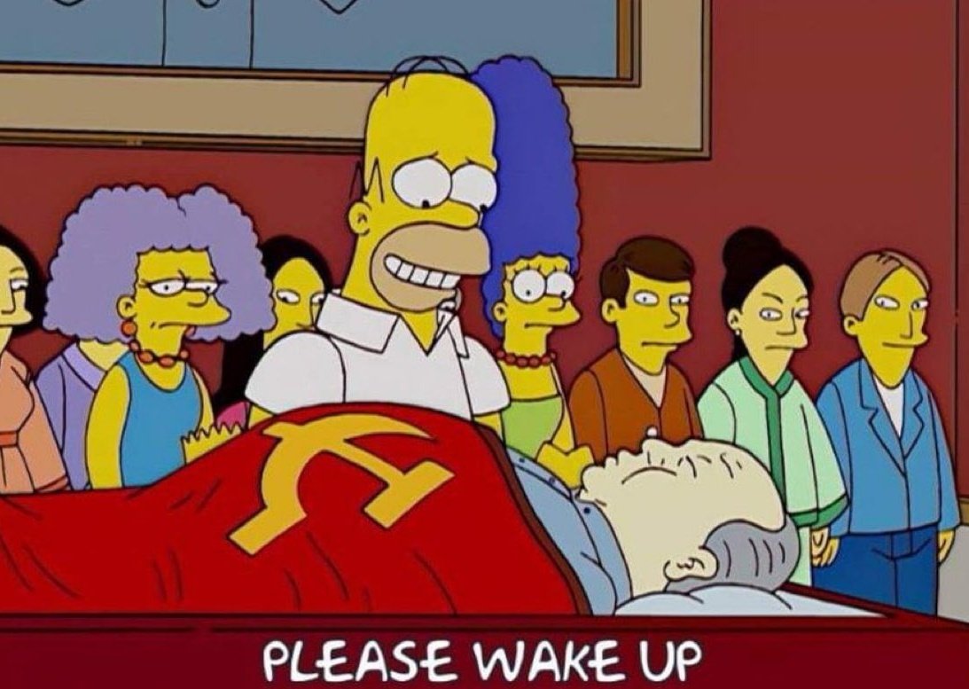 𓃰🇵🇸 tweet media