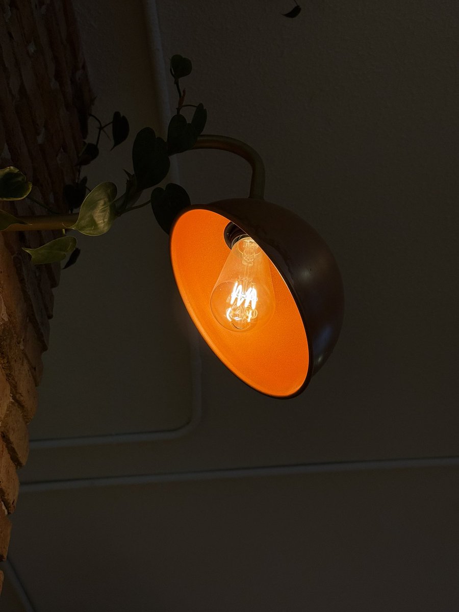 EDDIN #eddinlost tweet media