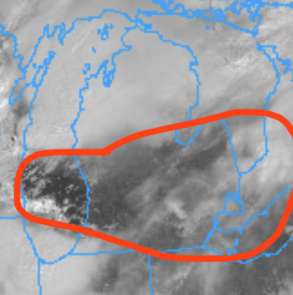 MiwxMartin🌪️ tweet media