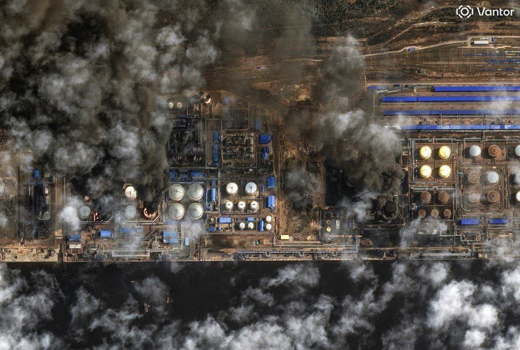 Special Kherson Cat 🐈🇺🇦 tweet media