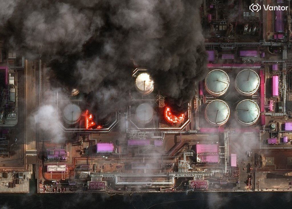 Special Kherson Cat 🐈🇺🇦 tweet media