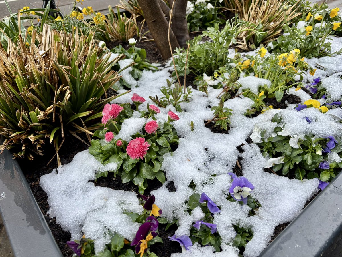 Renate Umundum tweet media