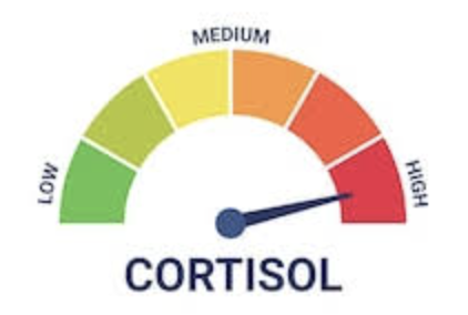 SwedishAccelerationism tweet media