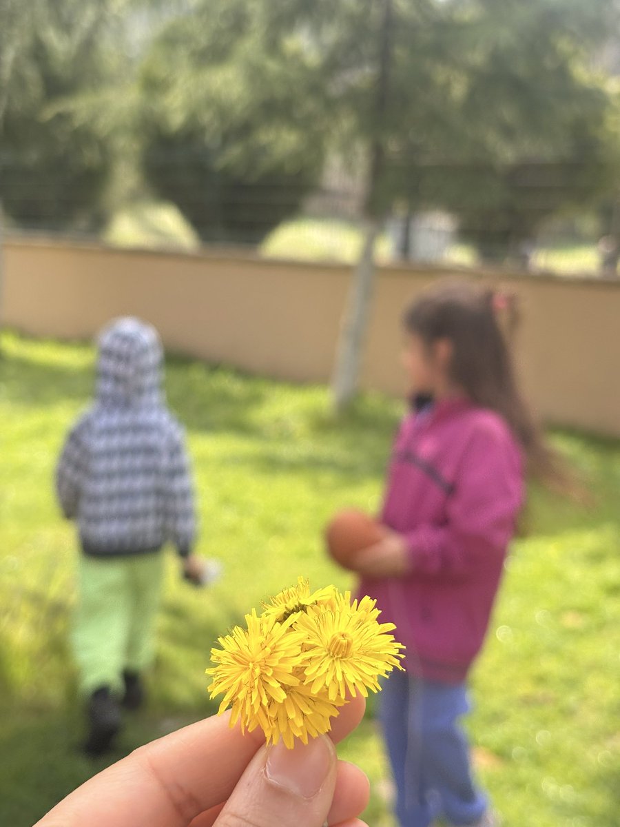 fkrydbkl's tweet photo. Kendilerinin birer çiçek olduğunun farkında bile değiller…
“Öğretmenim, size çiçek getirdik” diyorlar.
Oysa en güzel çiçekler zaten karşımdalar 🌸 https://t.co/SwgE1WuEZ2