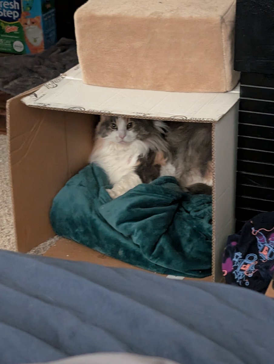 Bobswaggit tweet media