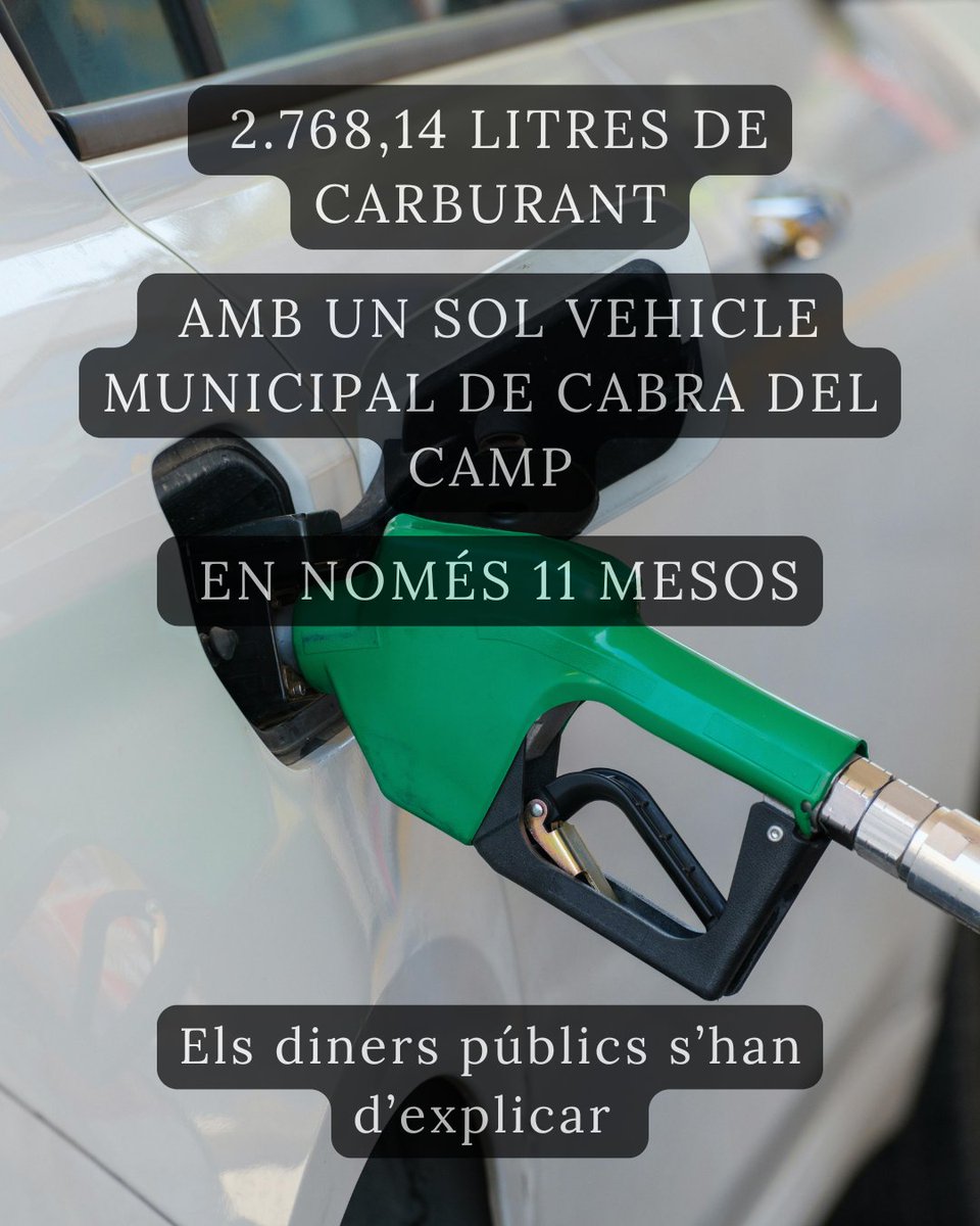 SomdeCabra tweet media