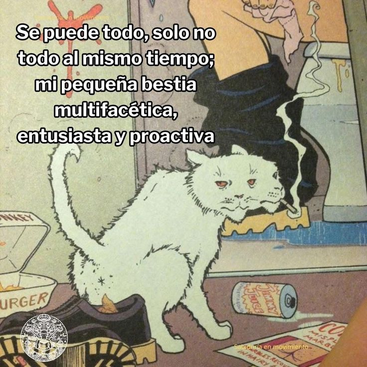 El Estoico | Filosofía tweet media