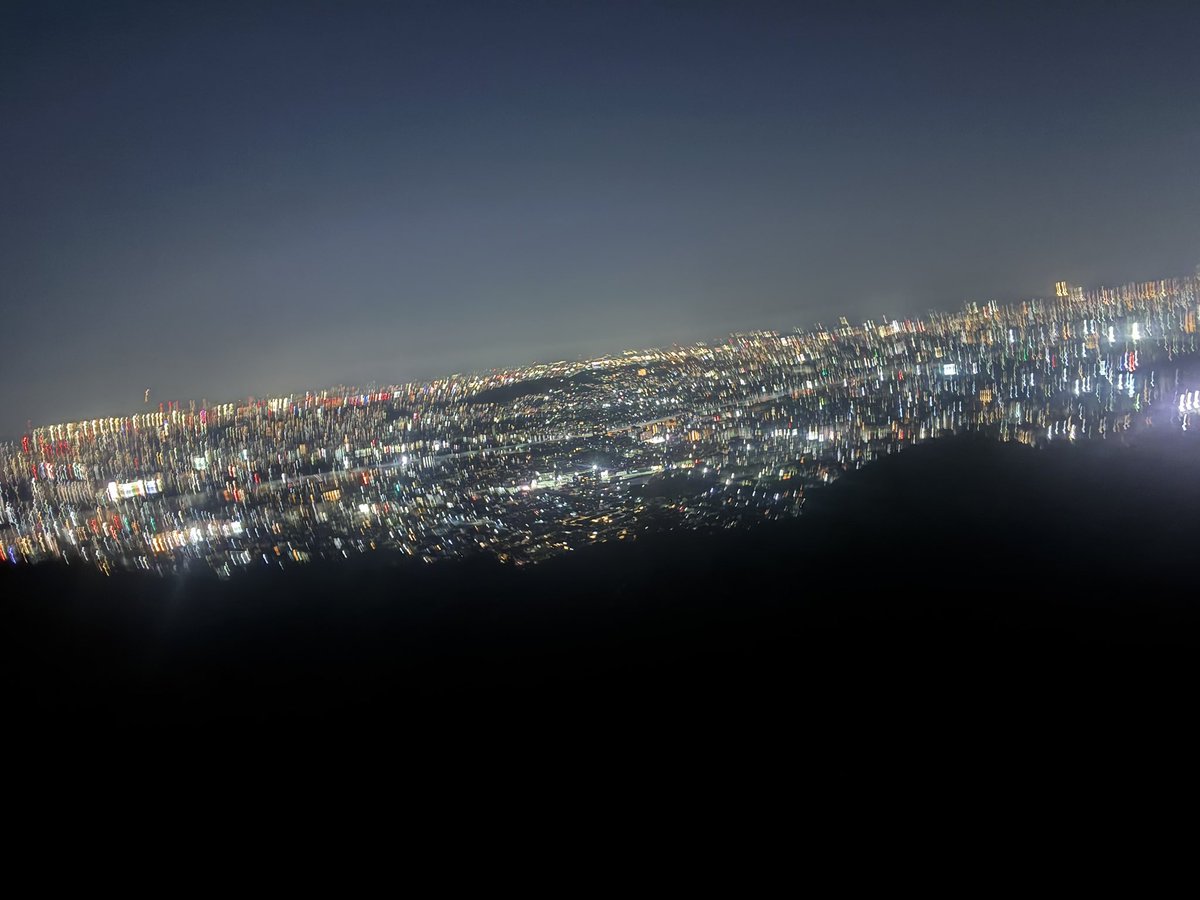 ウラとら🌎🔚 tweet media