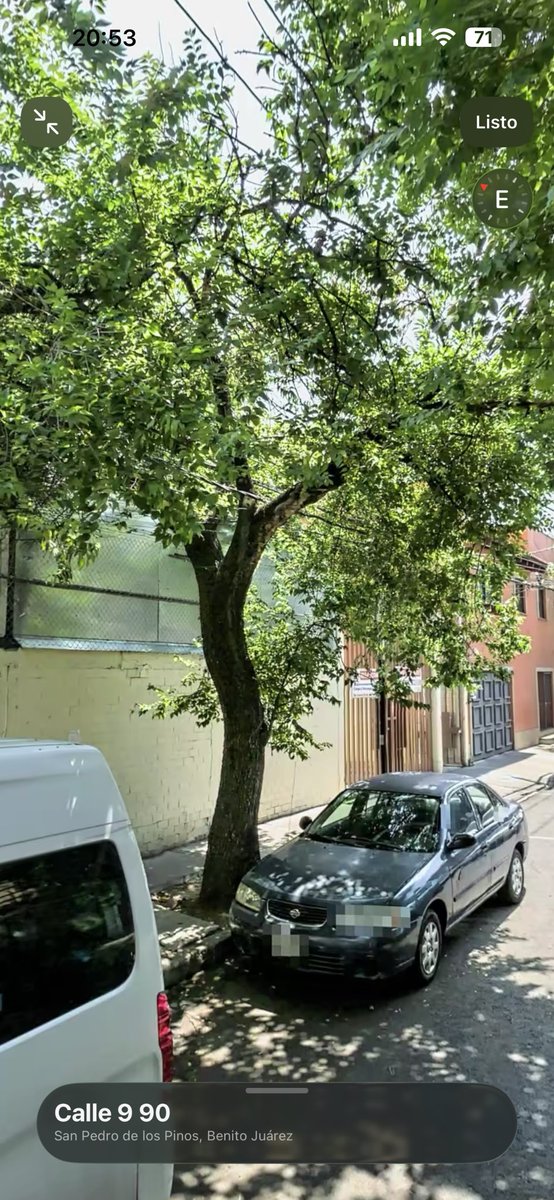 Estoy un poco consternado con lo que están pasando en la Alcaldía Benito Juárez. 🌳 

Resulta que están talando árboles siniestramente, pero ¿Por qué? 

Ya documentaban el caso del árbol milenario de Av 3. Y miren este otro una cuadra, frente al mercado San Pedro de los Pinos: