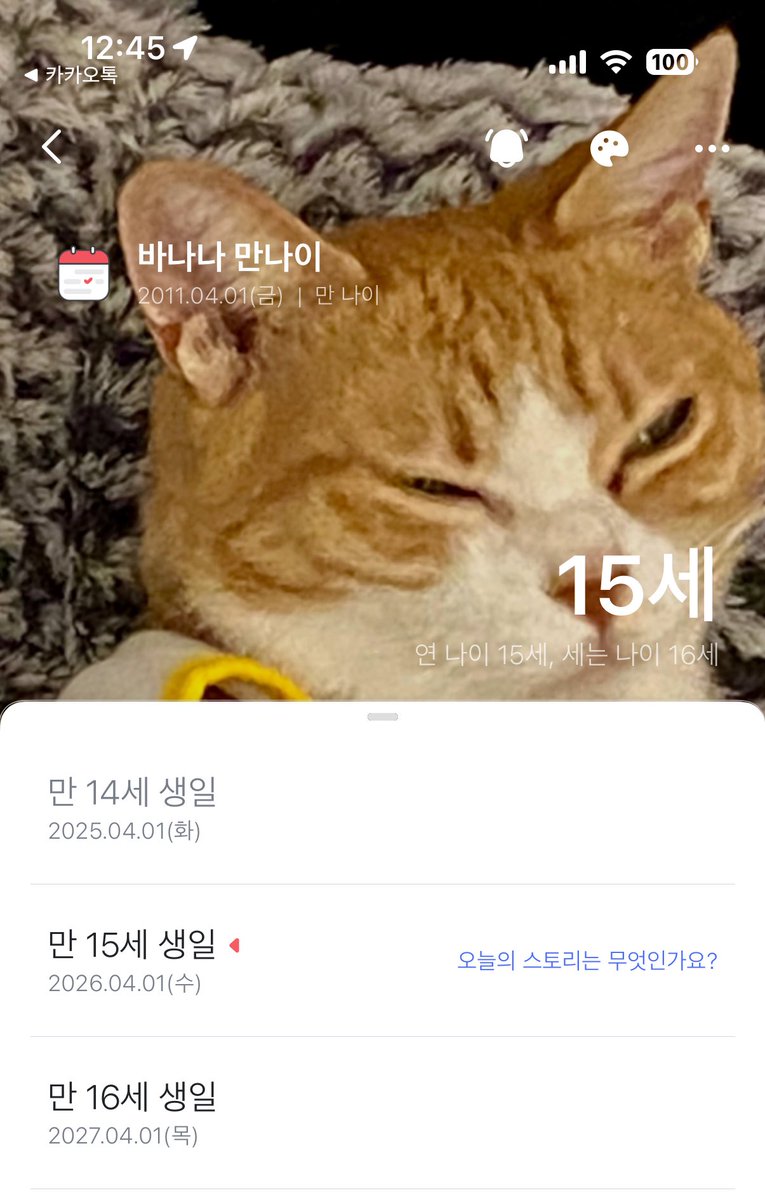 무한배냥이 빠나나씨 tweet media