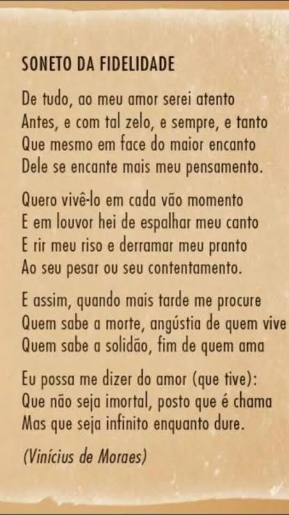 picolé de pomba🏳️‍⚧️🇵🇸⚢☭🧩🩸 tweet media