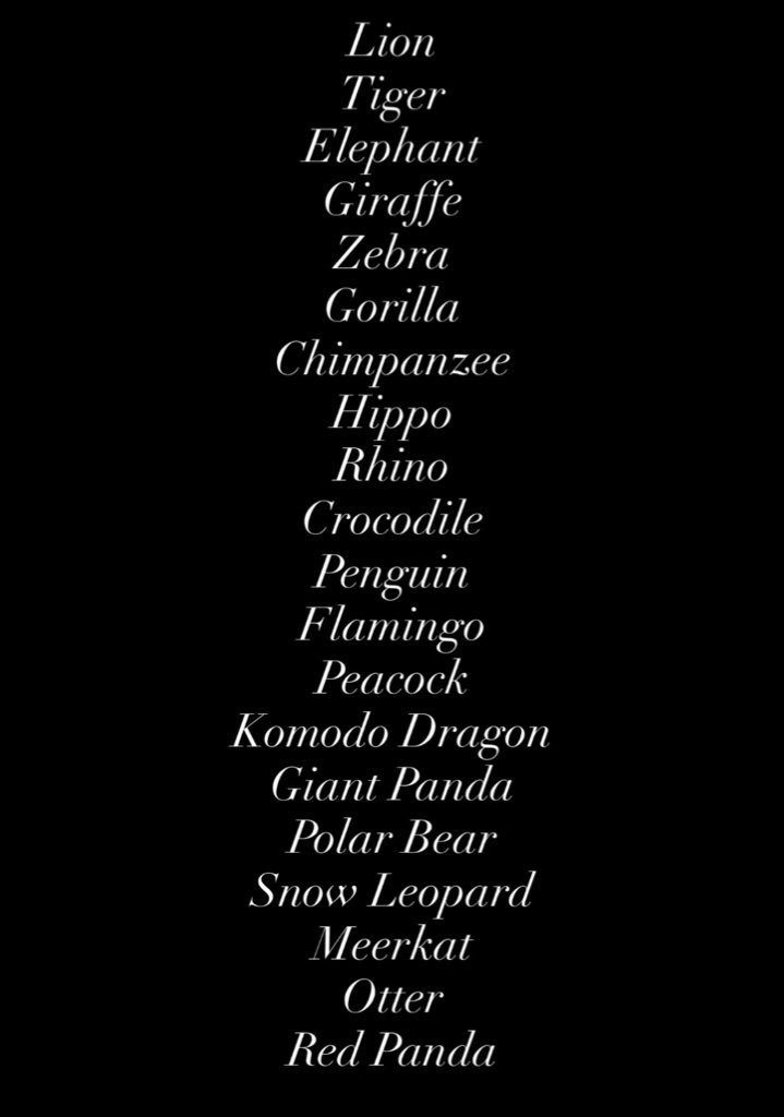 YEFANATICS tweet media