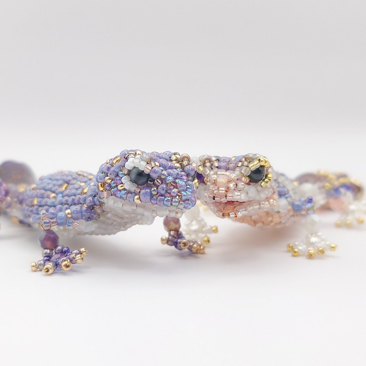 蛙の居候 tweet media