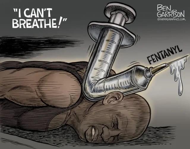 Riley Roberts tweet media