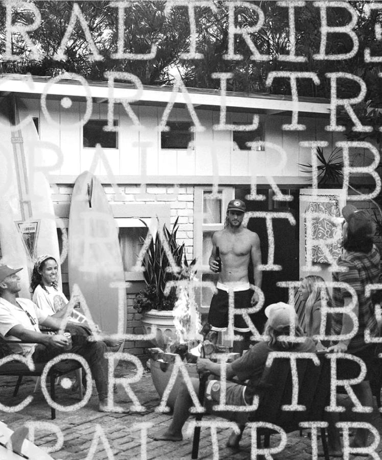 Coral Tribe 🌊 tweet media