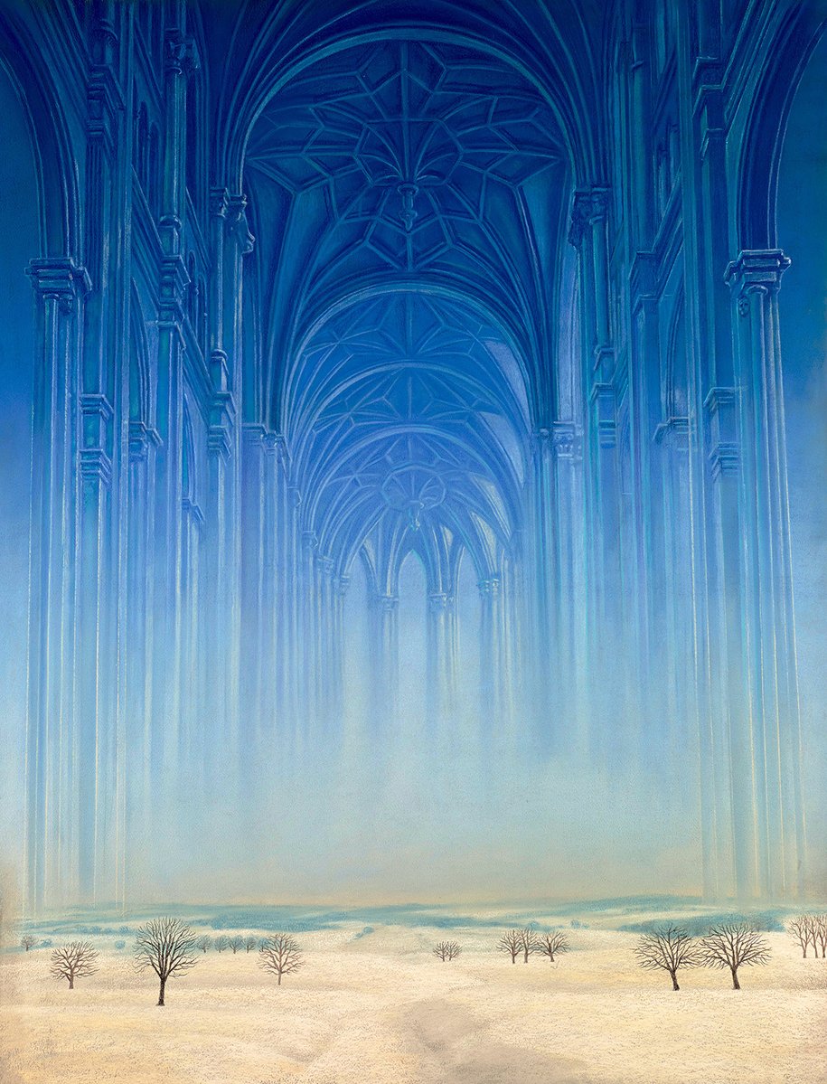 Frogmouth tweet media