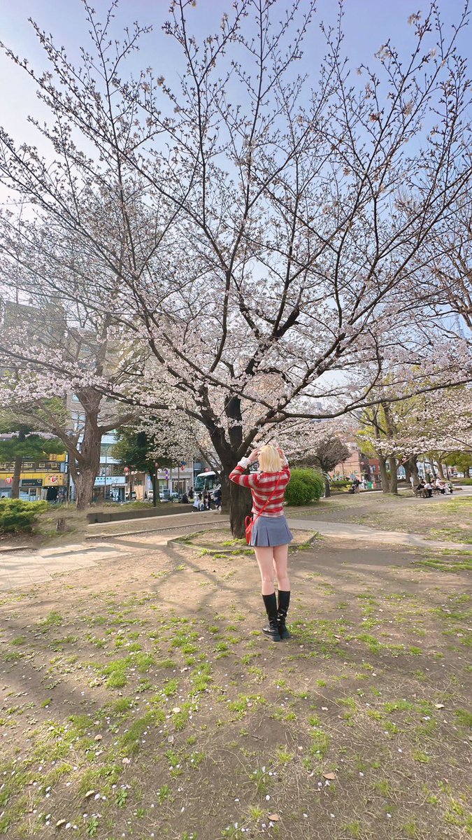 木音純❀ tweet media