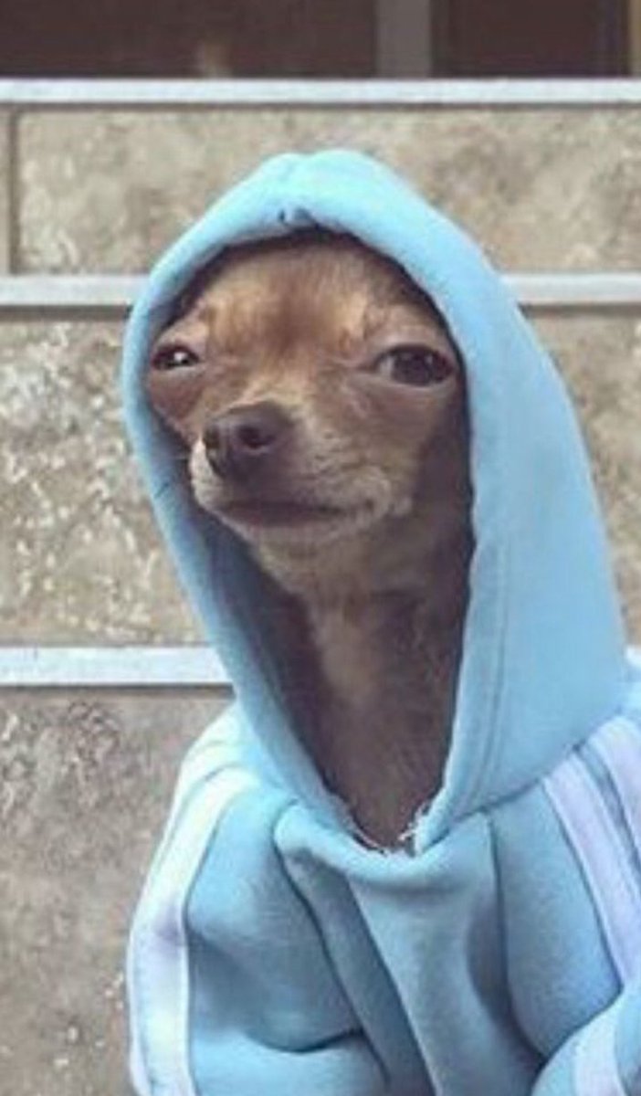 Ekom Johnny tweet media