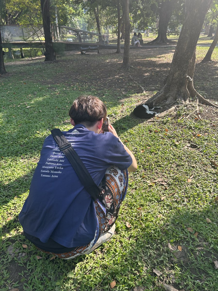 ちょむ tweet media