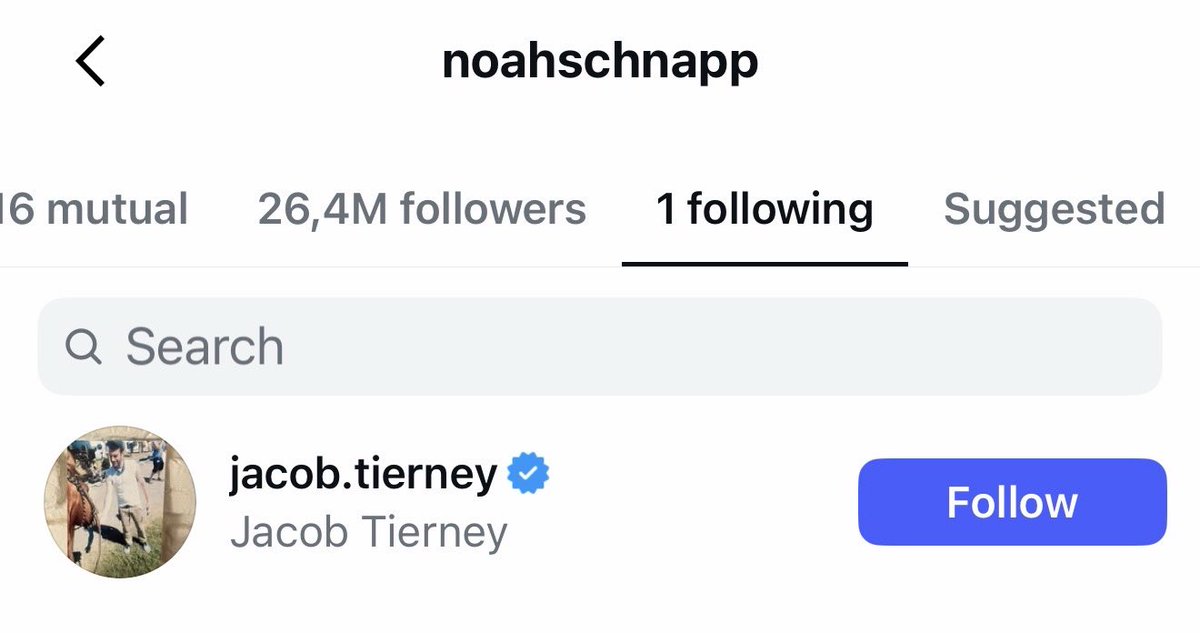 elle 🐇 tweet media