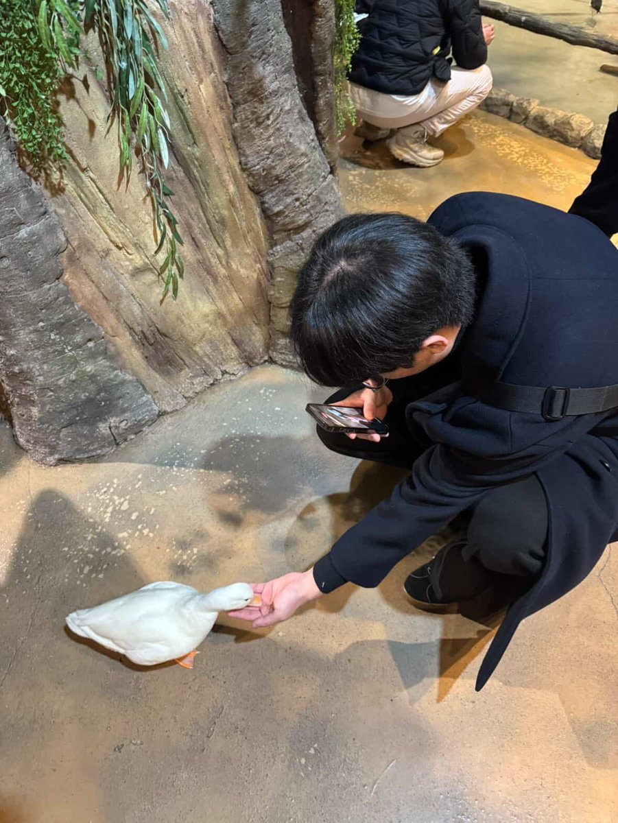 ʀᴇᴍɪɴɪꜱᴄᴇɴᴄᴇ tweet media