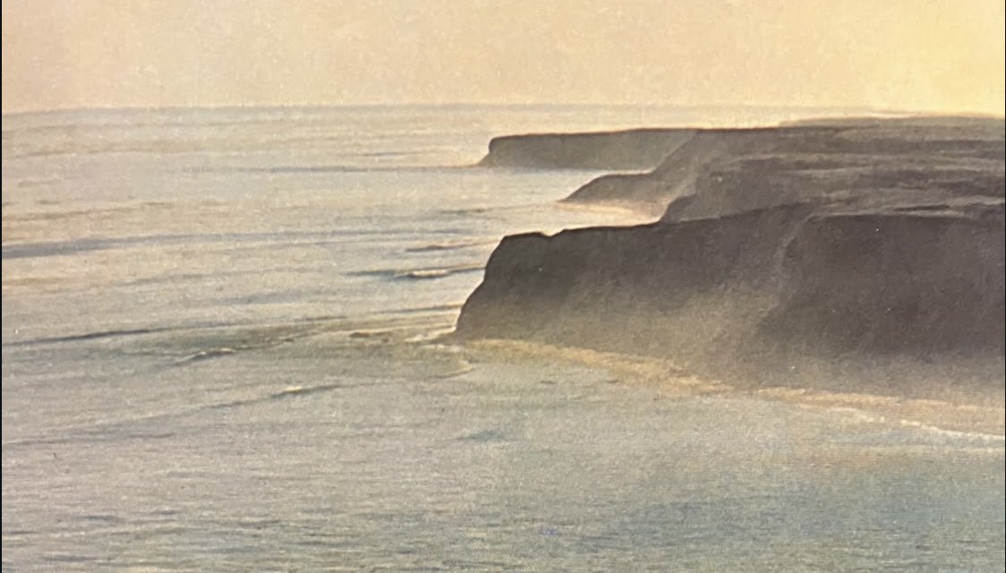 🌴Arnie MacGeddon🌴 tweet media