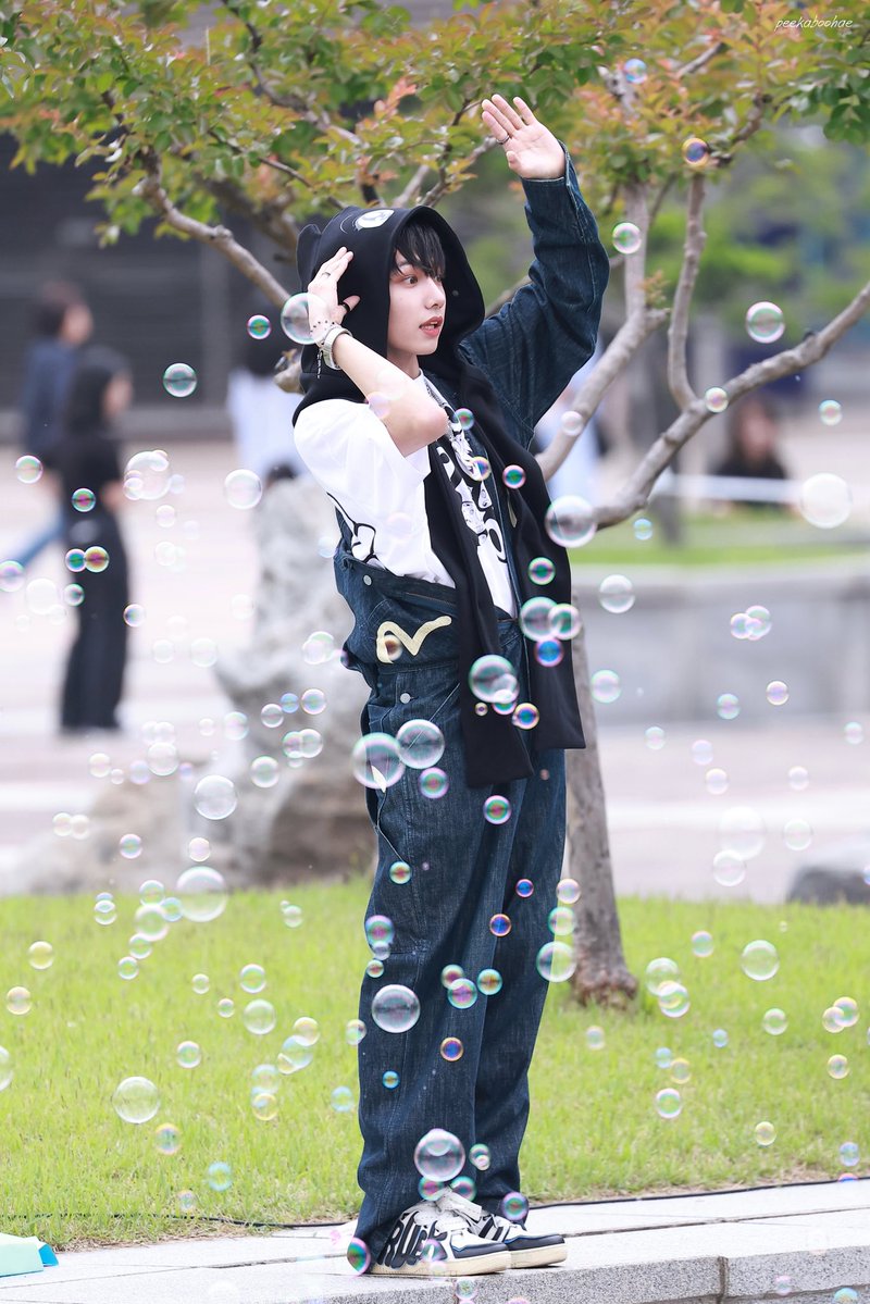 peekaboohae tweet media