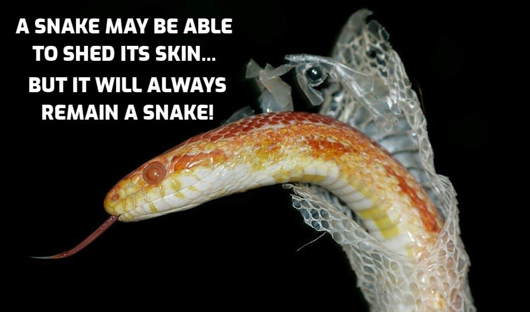 Donald Joseph tweet media