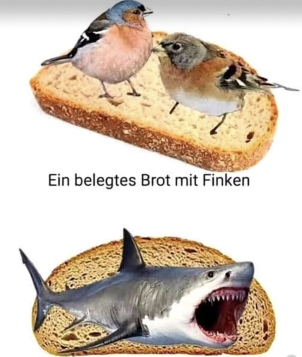 pulpo404 tweet media