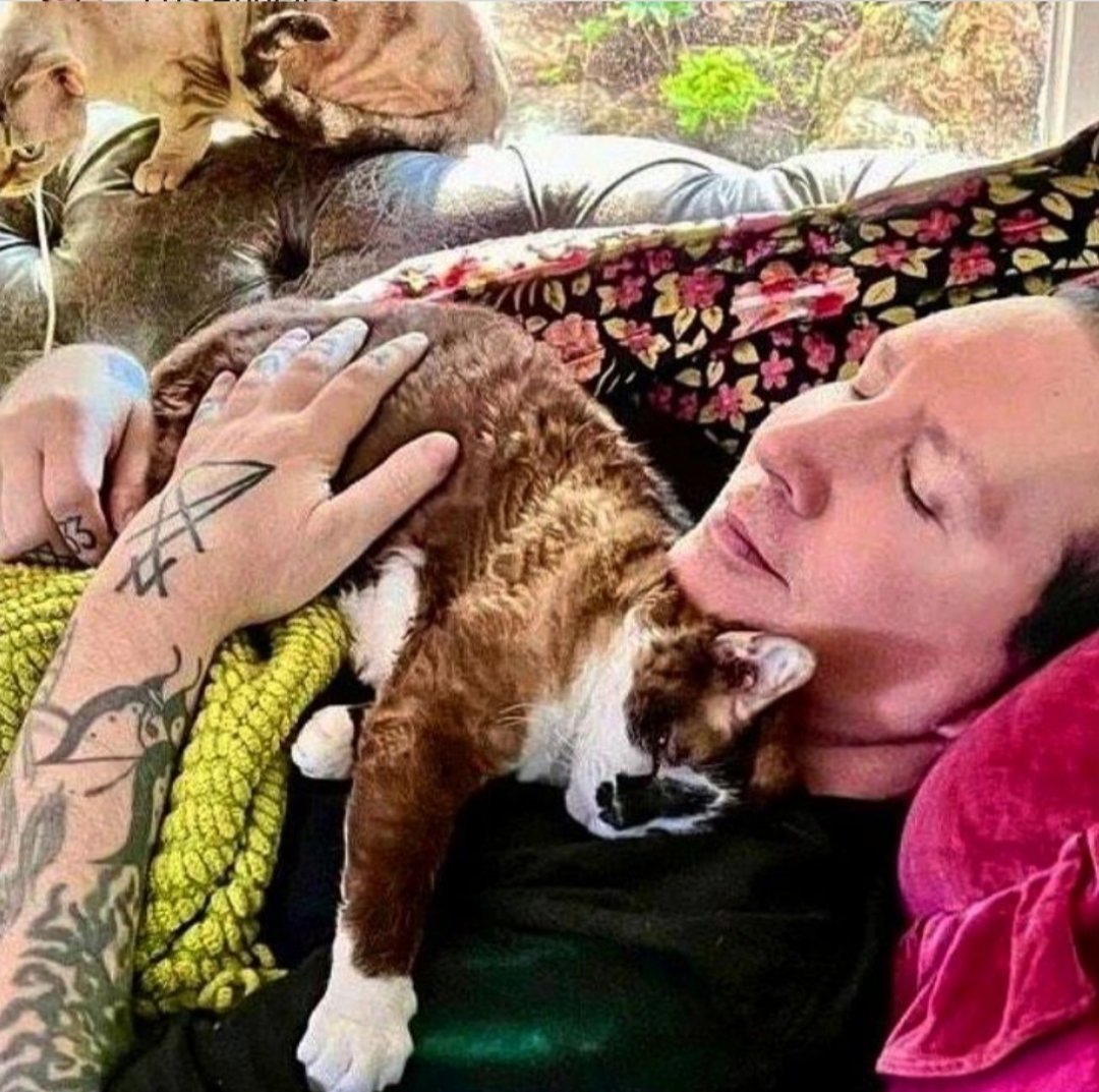 CreepyOni tweet media