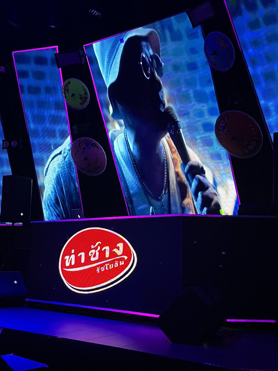 🐈‍⬛🕷️ tweet media