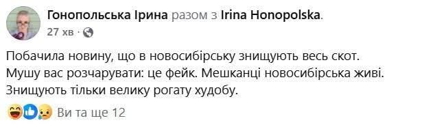 Журба, канєшна