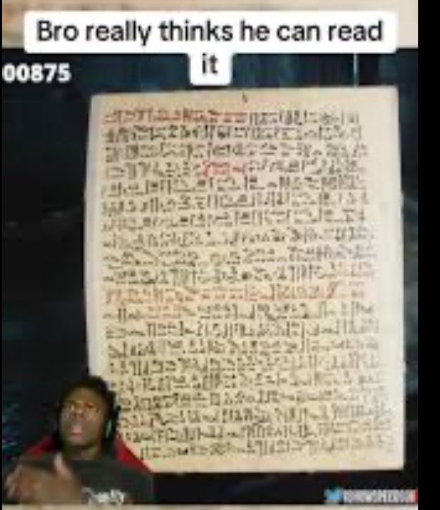 SHITPOST MEME RETWEET tweet media