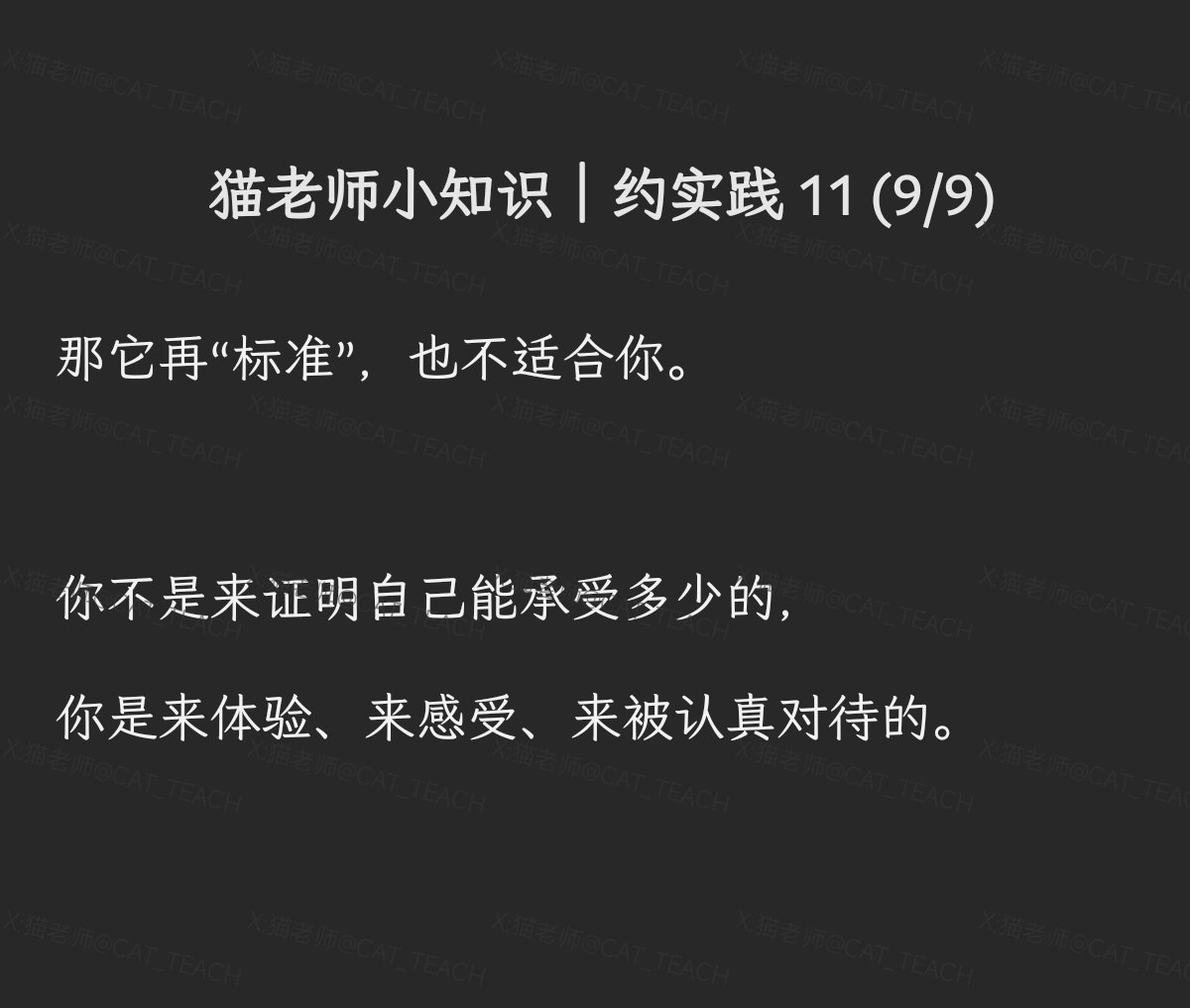 猫老师 tweet media